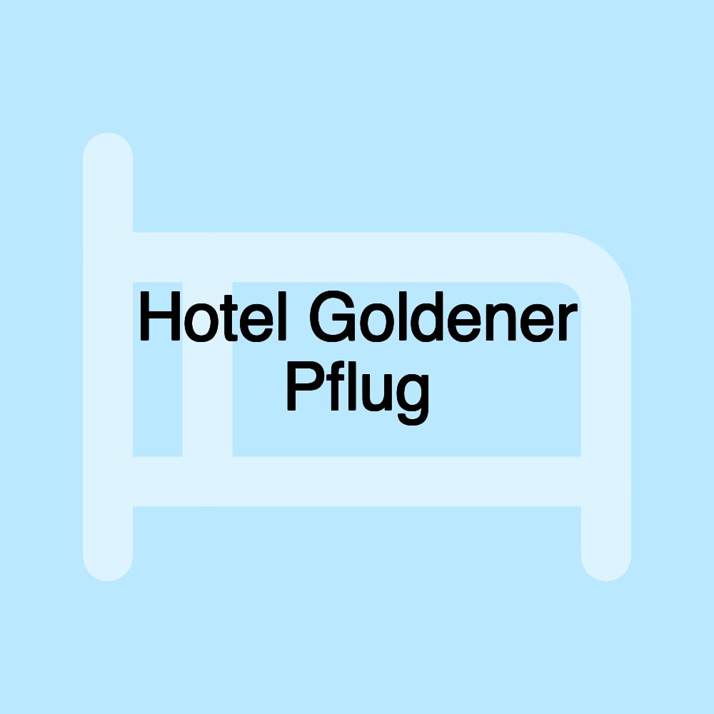 Hotel Goldener Pflug Hotel Goldener Pflug